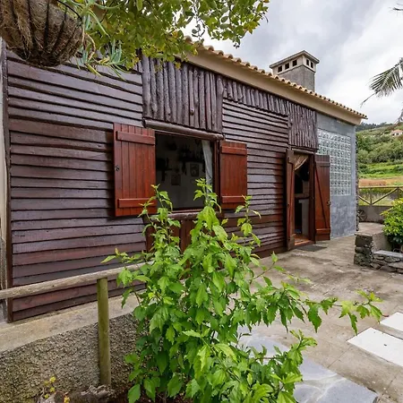 Do Monte No By Homie *