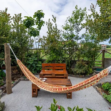 Do Monte No By Homie