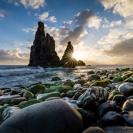 Do Monte No By Madeira Sun Travel