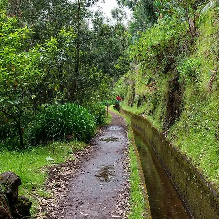 Do Monte No By Homie בית נופש *