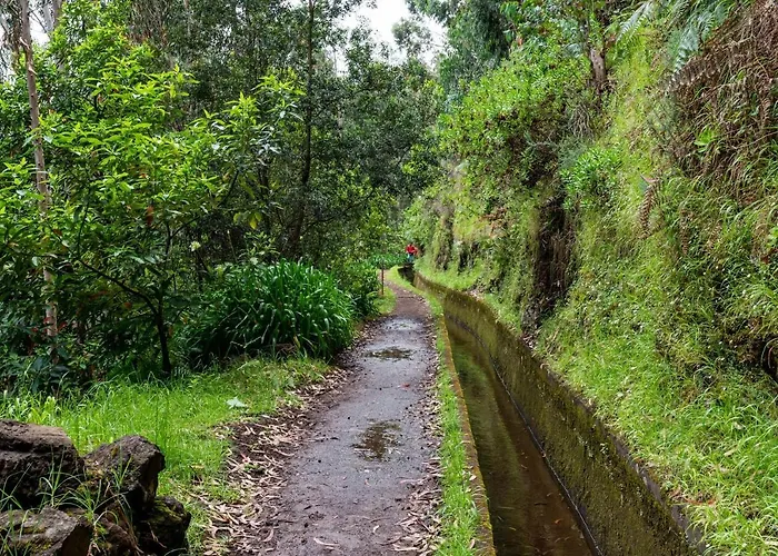 Do Monte No Porto Moniz By Homie Dom wakacyjny *